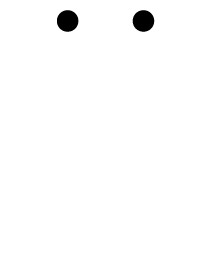 観る人